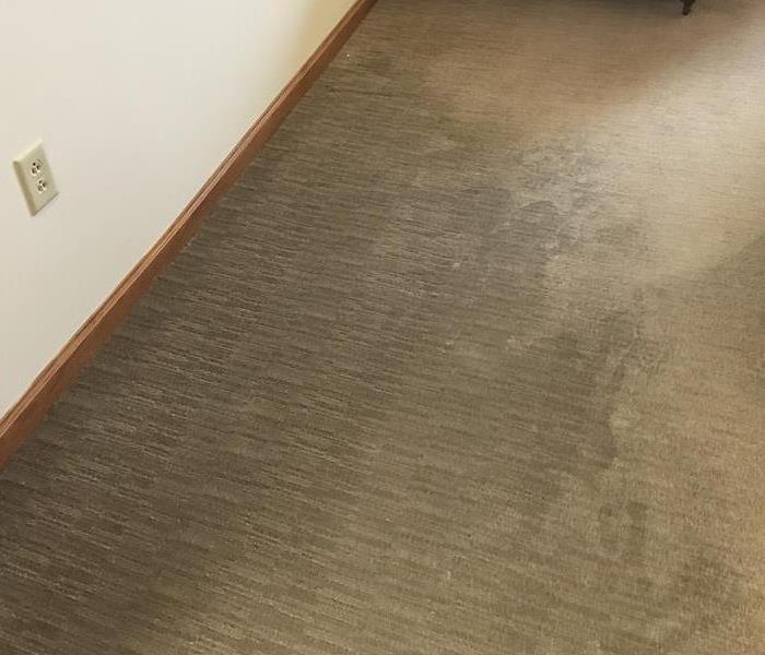 water loss on carpet